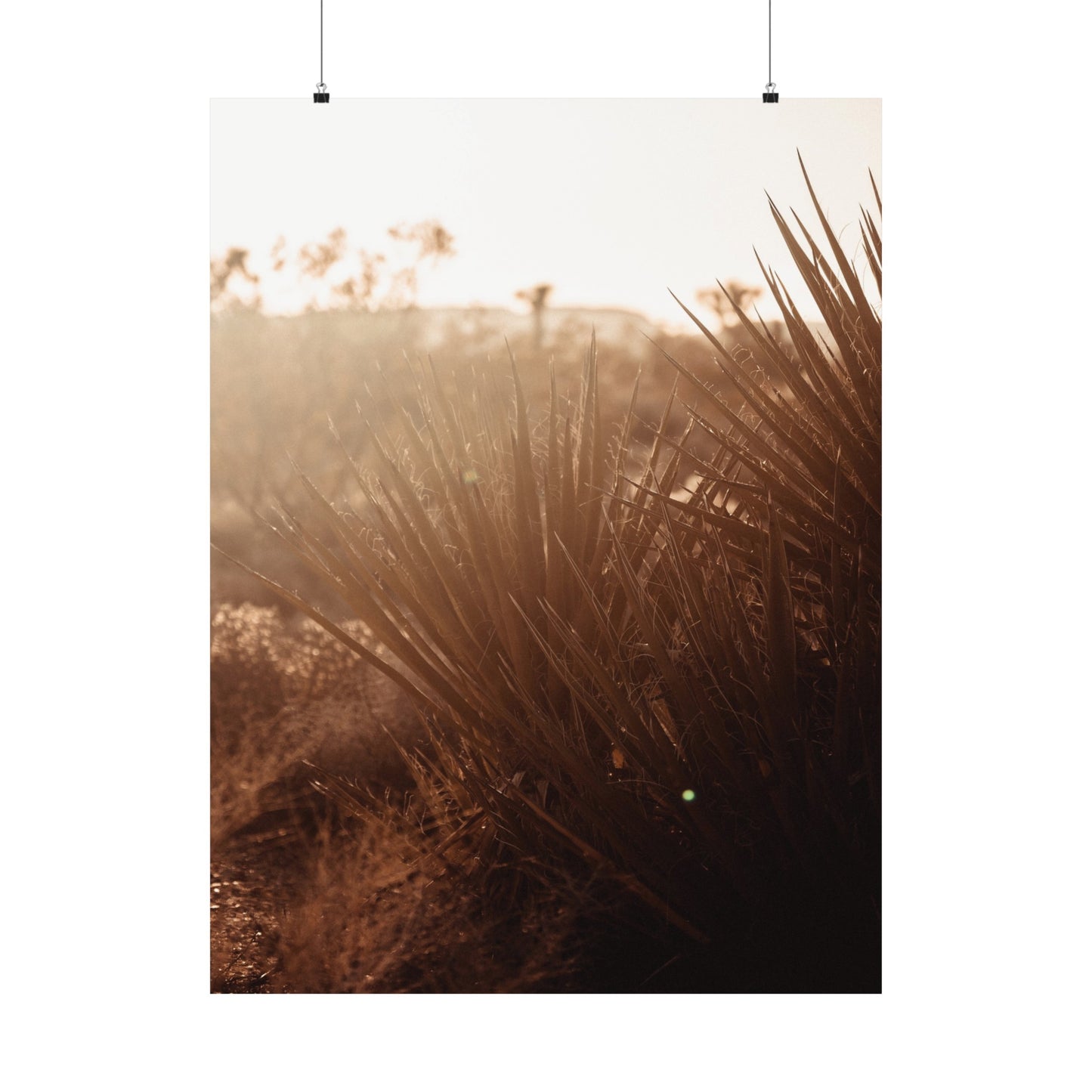 Desert Treasure 4 Matte Finish (Unframed)