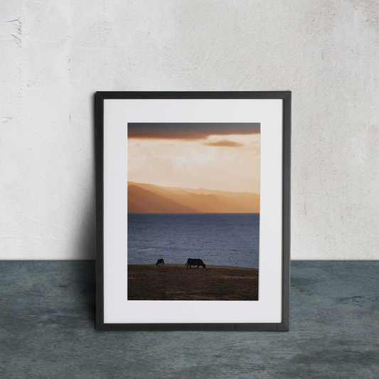 Coastline Matte Finish (Unframed)