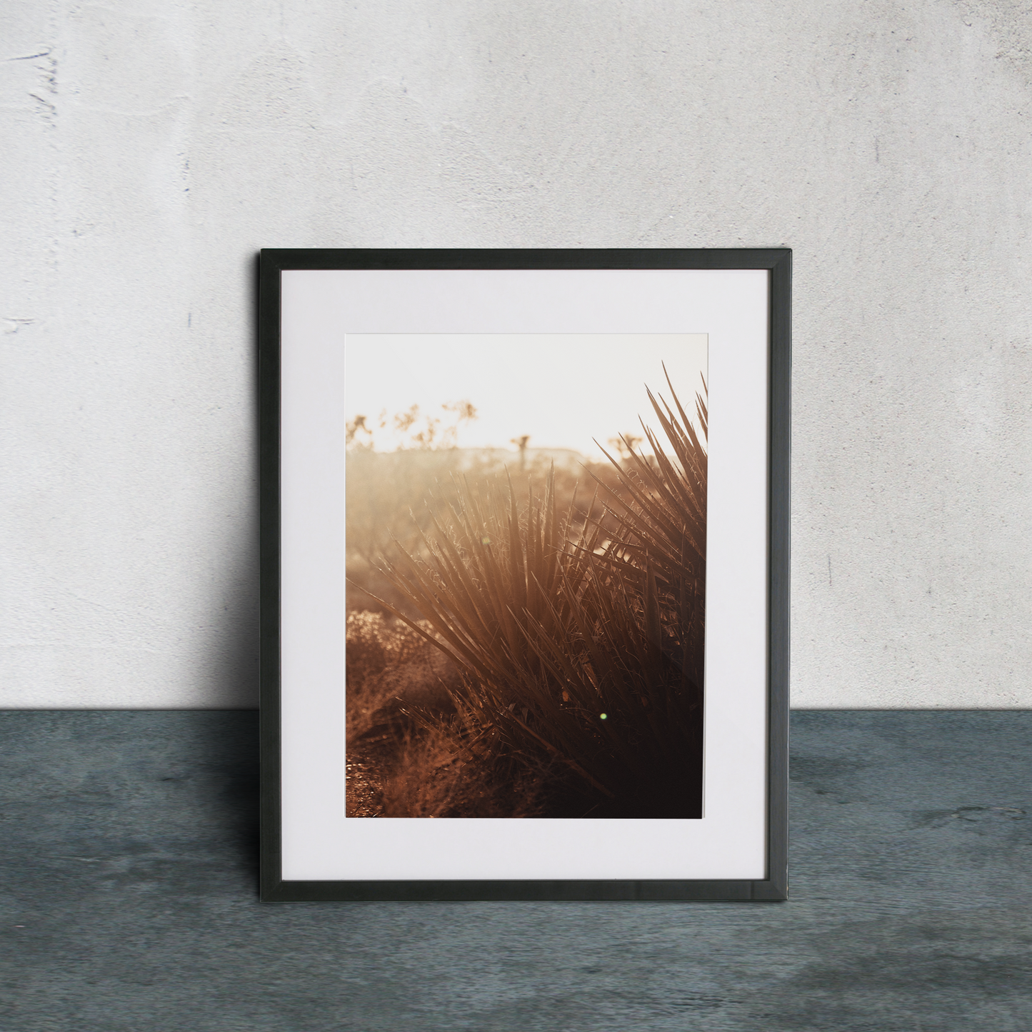 Desert Treasure 4 Matte Finish (Unframed)